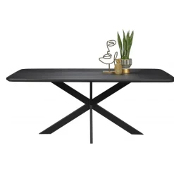 Eettafel Holendrecht Zwart - 200x100 cm