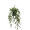 Hangplant Boxwood Groen - 50 cm hoog