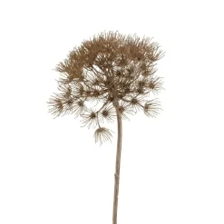 Kunstbloem Heracleum Bruin - 80 cm