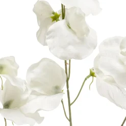 Kunstbloem Lathyrus Crème - 75 cm