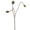 Kunstbloem Poppy Green - 75 cm