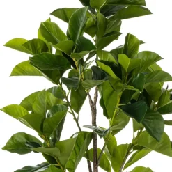 Kunstplant Ficus Benghalensis Groen - 170 cm hoog