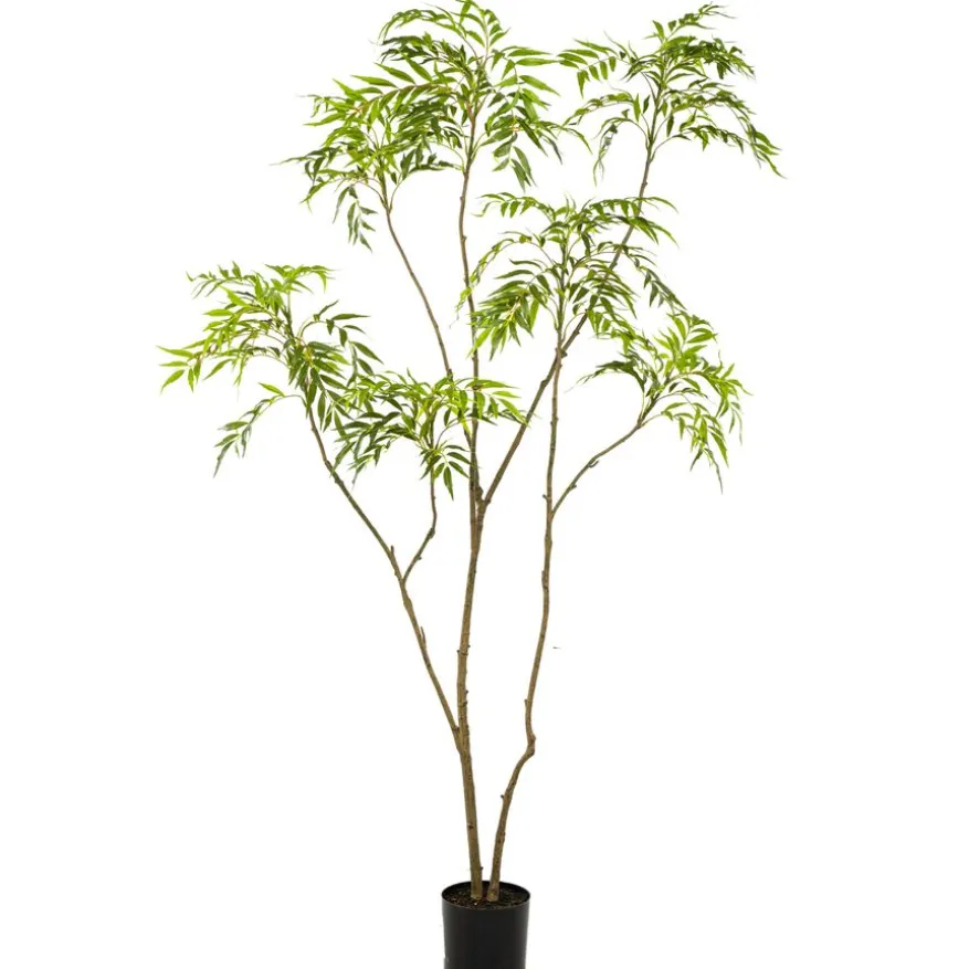 Kunstplant Mahonia Forunei Groen - 210 cm hoog