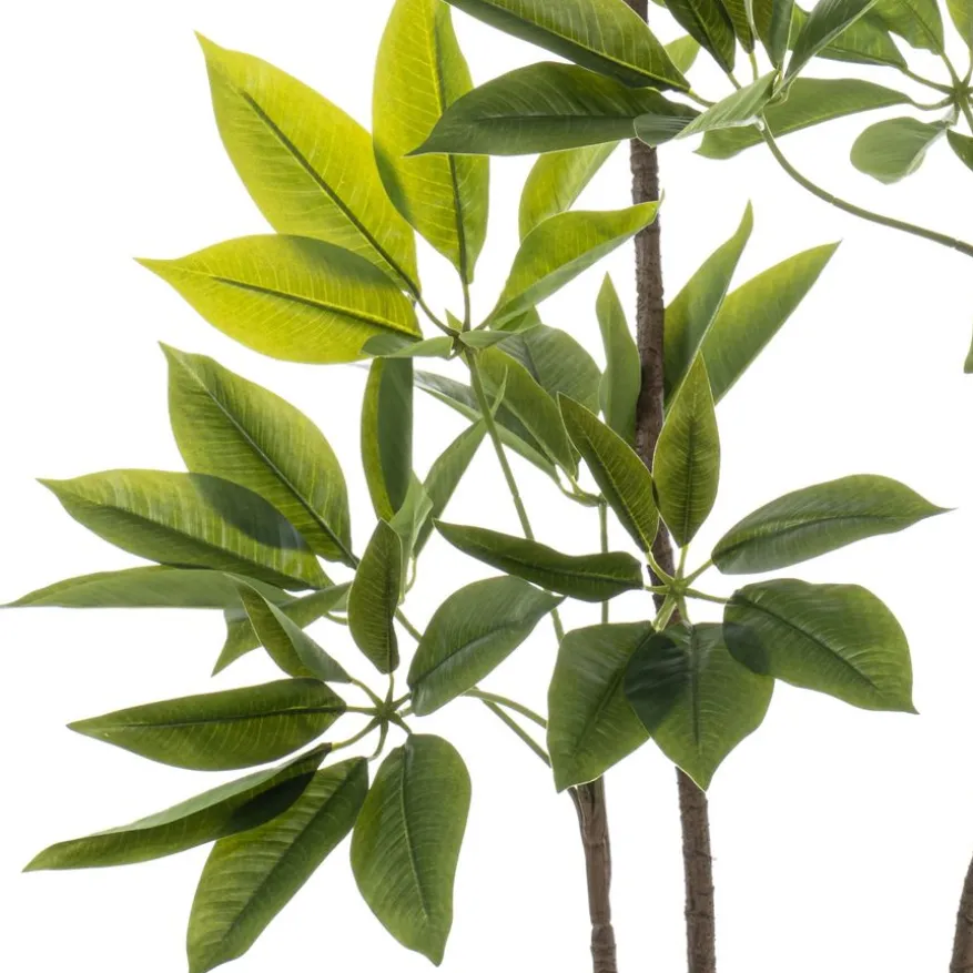 Kunstplant Schefflera Groen - 150 cm hoog