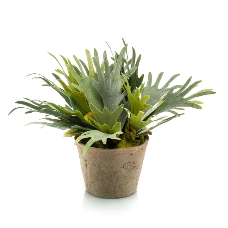 Kunstplant Staghorn Fern Groen - 35 cm hoog