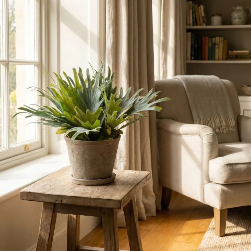 Kunstplant Staghorn Fern Groen - 35 cm hoog