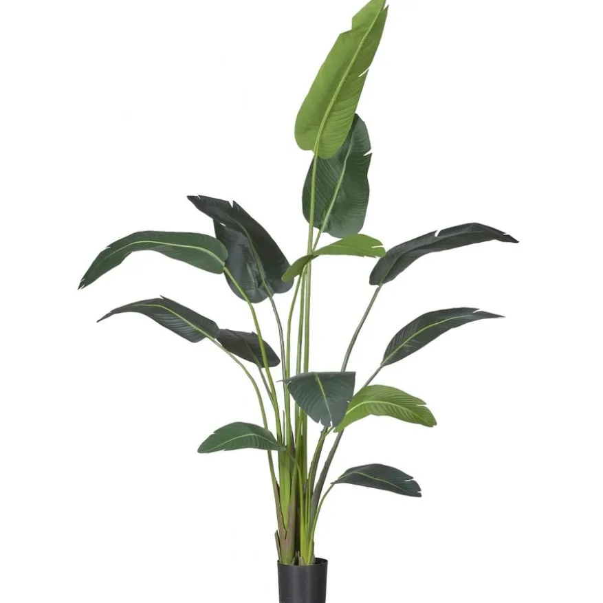 Kunstplant Strelitzia Groen - 230 cm hoog