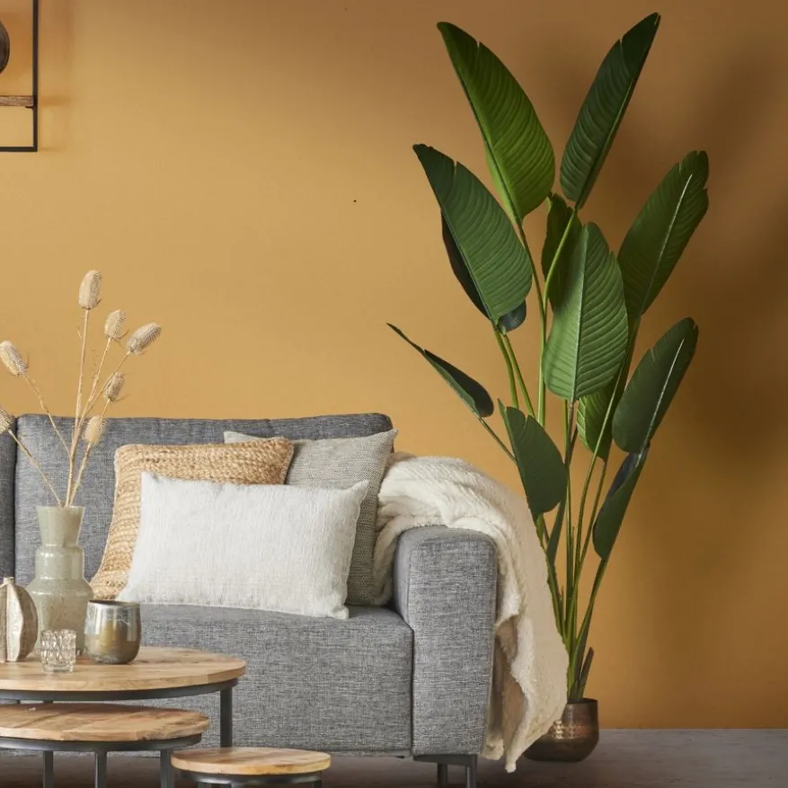 Kunstplant Strelitzia Groen - 230 cm hoog