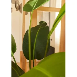 Kunstplant Strelitzia Groen - 230 cm hoog