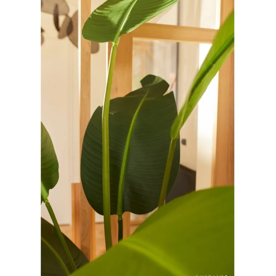Kunstplant Strelitzia Groen - 230 cm hoog