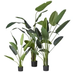 Kunstplant Strelitzia Groen - 230 cm hoog