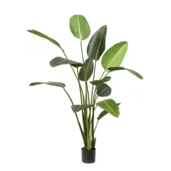 Kunstplant Strelitzia Groen - 230 cm hoog