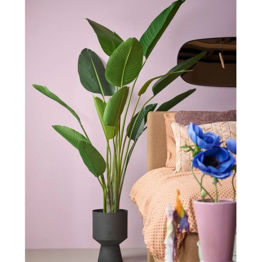 Kunstplant Strelitzia Groen - 230 cm hoog