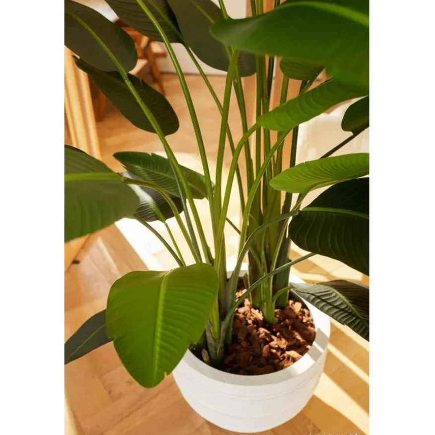 Kunstplant Strelitzia Groen - 230 cm hoog