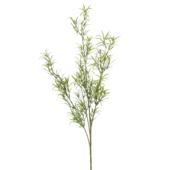 Kunsttak Asparagus Groen - 80 cm