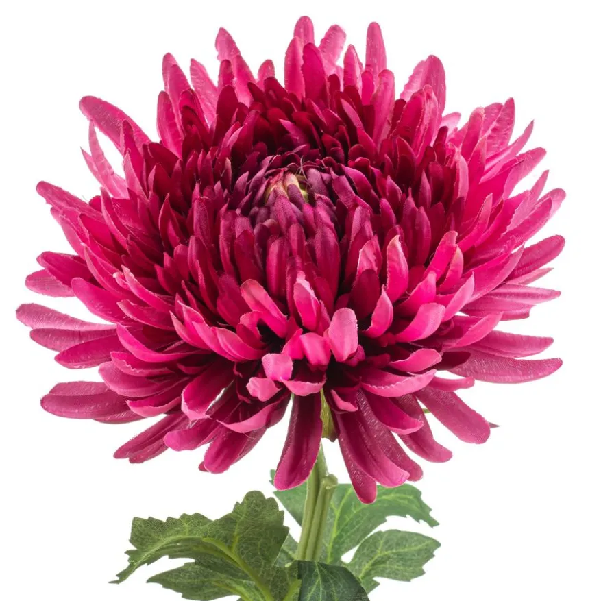 Kustbloem Mum Fuchsia - 72 cm