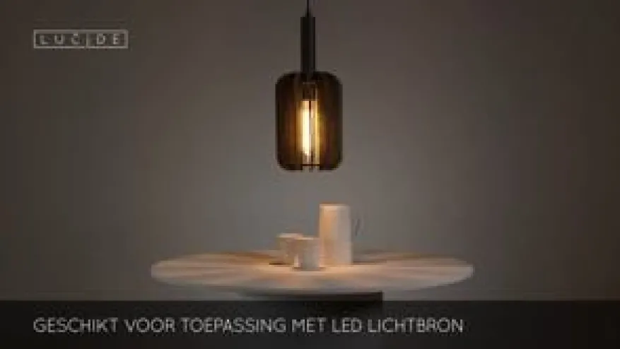 Lucide Hanglamp Rafal Grijs - E27 - Ø 20 cm