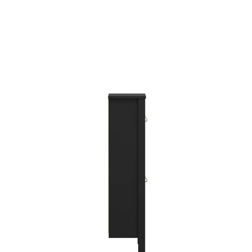 Schoenenkast Dallas Zwart - 54x103x25 cm